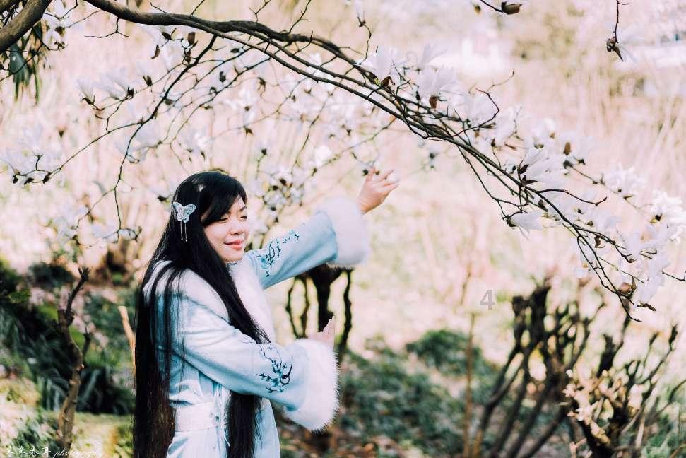 救援白虎